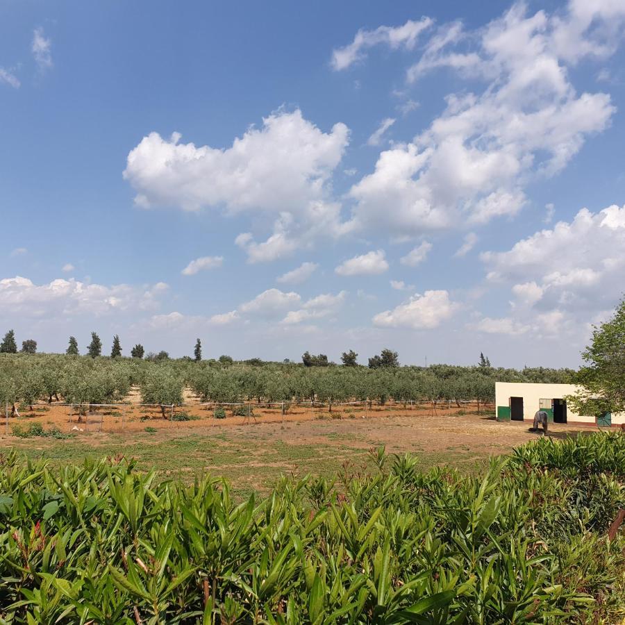 Finca-Vallestares Almonte Extérieur photo
